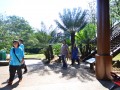 Tn DSC 2017